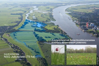 Juliusplate und Weser im Luftbild von terra-air services